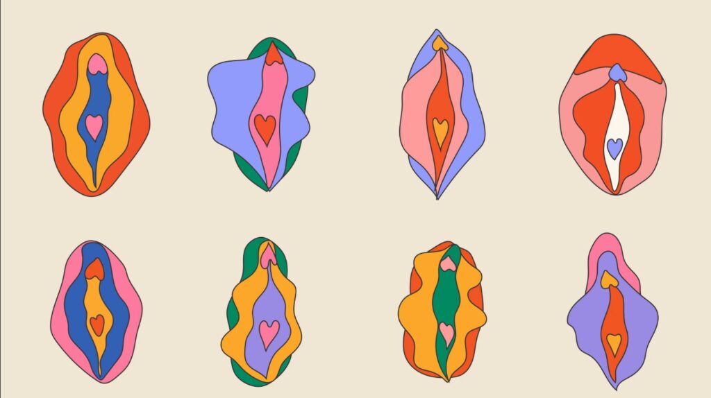 Different Types of Vaginas